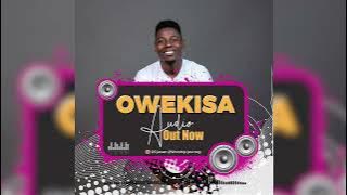 Owekisa Audio Visualizer   DS Javan