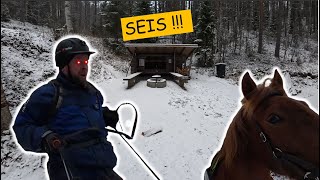 Mietteitä Jalostuksesta - Paukku Hurjii