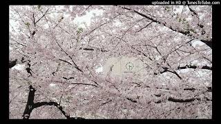 free | ginseng + misogi + pink noise type beat - "valley"