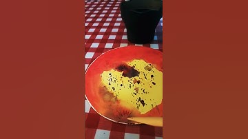 My Bamboo Dip Pen/Brush