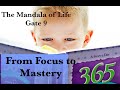 The Mandala of Life/ Episode 55/The Gate 9/From Focus to Mastery /Small Acts Leads to Big Rewards