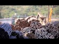 Treated Timber Products - Company Overview Treated Timber Products - Company Overview