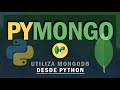 Utiliza MongoDB desde Python | PyMongo