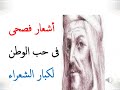 أشعار فصحى فى حب الوطن لكبار الشعراء