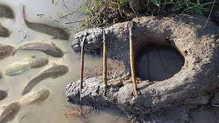 Deep Hole Fish Trap By Two Brother Boy -How to catch fish with deep hole fish trap