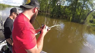 Flathead Catfish The Obsession - PT. 1