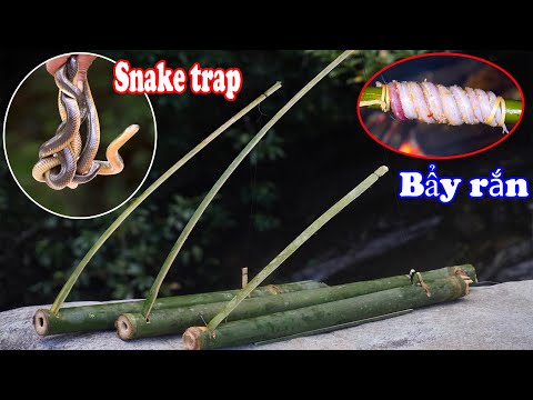 Video Bẫy Rắn Bằng Tre Hiệu Quả Nhất Và Tìm Thấy Nấm Linh... - youtube