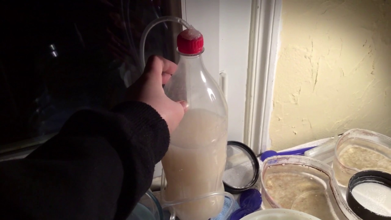 Tuto : fabrication d’une bouteille de CO2 artisanal pour aquarium.