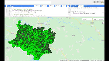 Quantifying Forest Change using Google Earth Engine