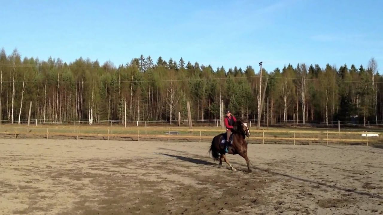 Woody og Iselin. Danka trening 29 april 2014