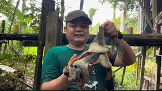 Tupai putih (tupai labang) masak kicap pedas campur beer, Resepi masakan exotic
