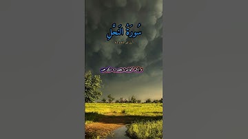 Surah An-Nahl (سورة النحل) | The Bee 🐝 | Tilawat with Urdu & English Translation