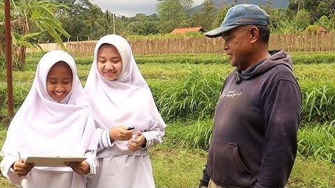 MAS HUSNUL KHOTIMAH_AFIFAH SITA & AISYAH HANIYAH_ SEMBAWA VILLAGE : PILLAR OF LOCAL FOOD SECURITY