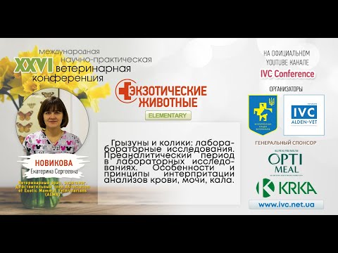 Грызуны и кролики: лабораторные исследования: Екатерина Новикова | IVC based 2020