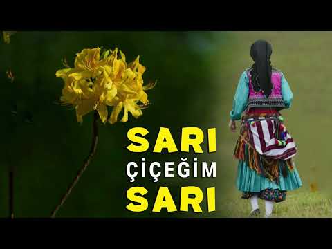 Sari Çiçeğum Sari- Özlem Üngör