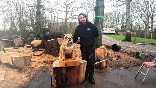 AMAZING CHAINSAW Wood Carving, English Bulldog!