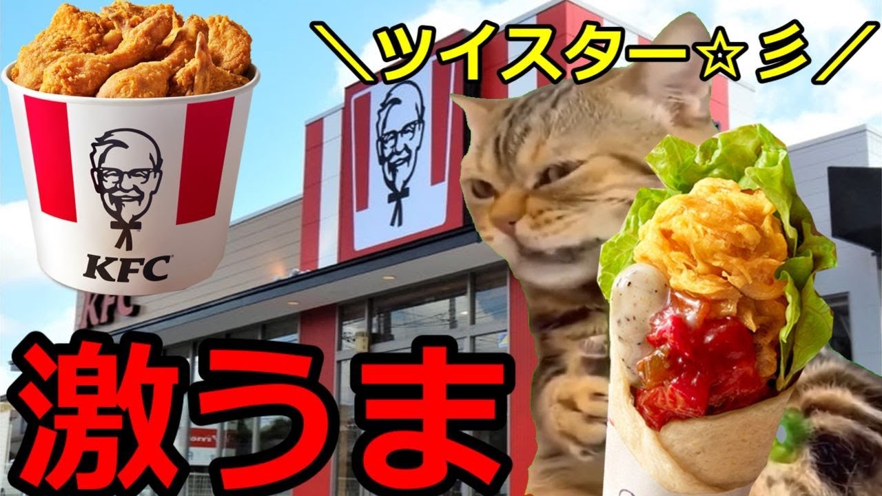【猫ミーム】ケンタッキーの激うま商品！！