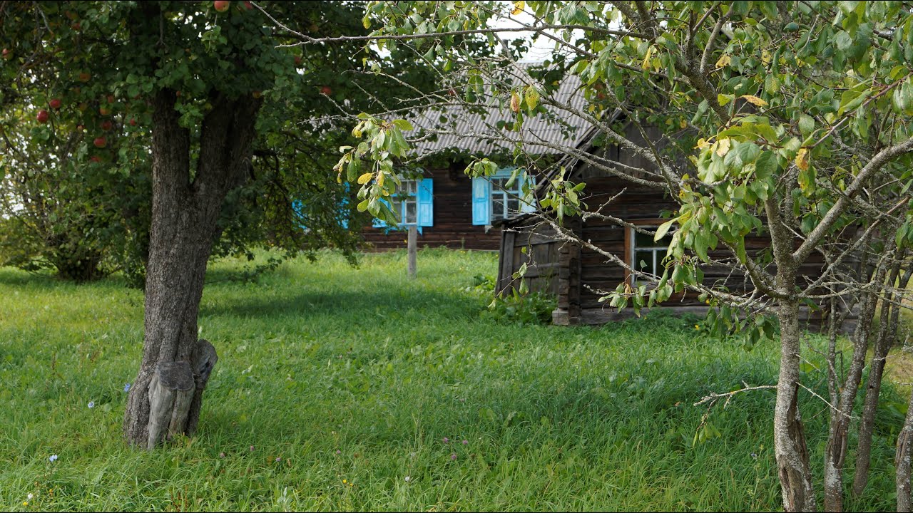 Из города в деревню. Часть 11. Наконец то купил хорошее сено.