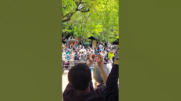 Kakeuma Shinji 20250505 