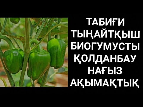 Бейне: Органикалық тыңайтқыштар: түрлері, артықшылықтары, қолдану ережелері