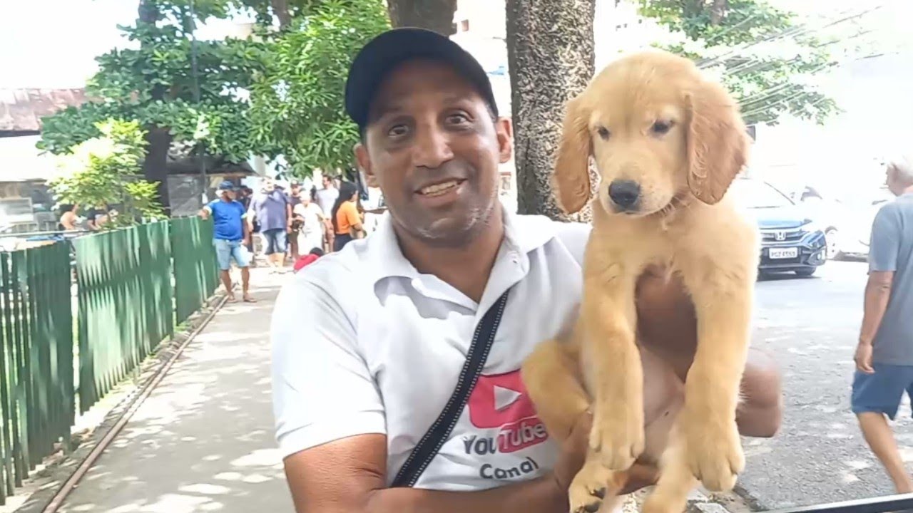 FEIRA DE FILHOTES E MERCADO DA MADALENA RECIFE/PE, BRASIL!!!