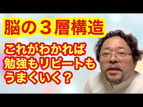 【整体師必見】脳の三層構造がわかれば勉強もリピートも上手くいく！？