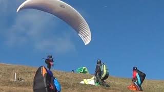 FunnyTake off 20191130a
