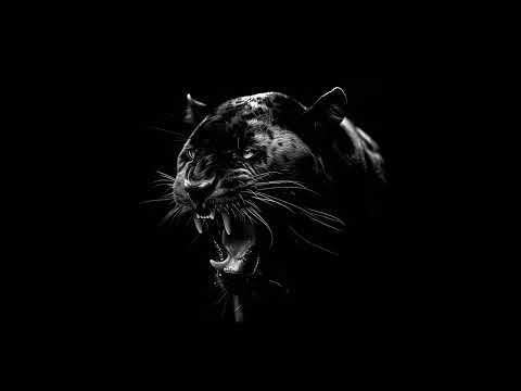 ASCEND, Six Dior - COOOK PARDON - Slowed