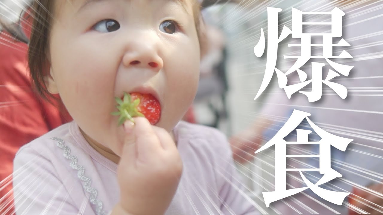 A greedy one-year-old child is super excited about his first