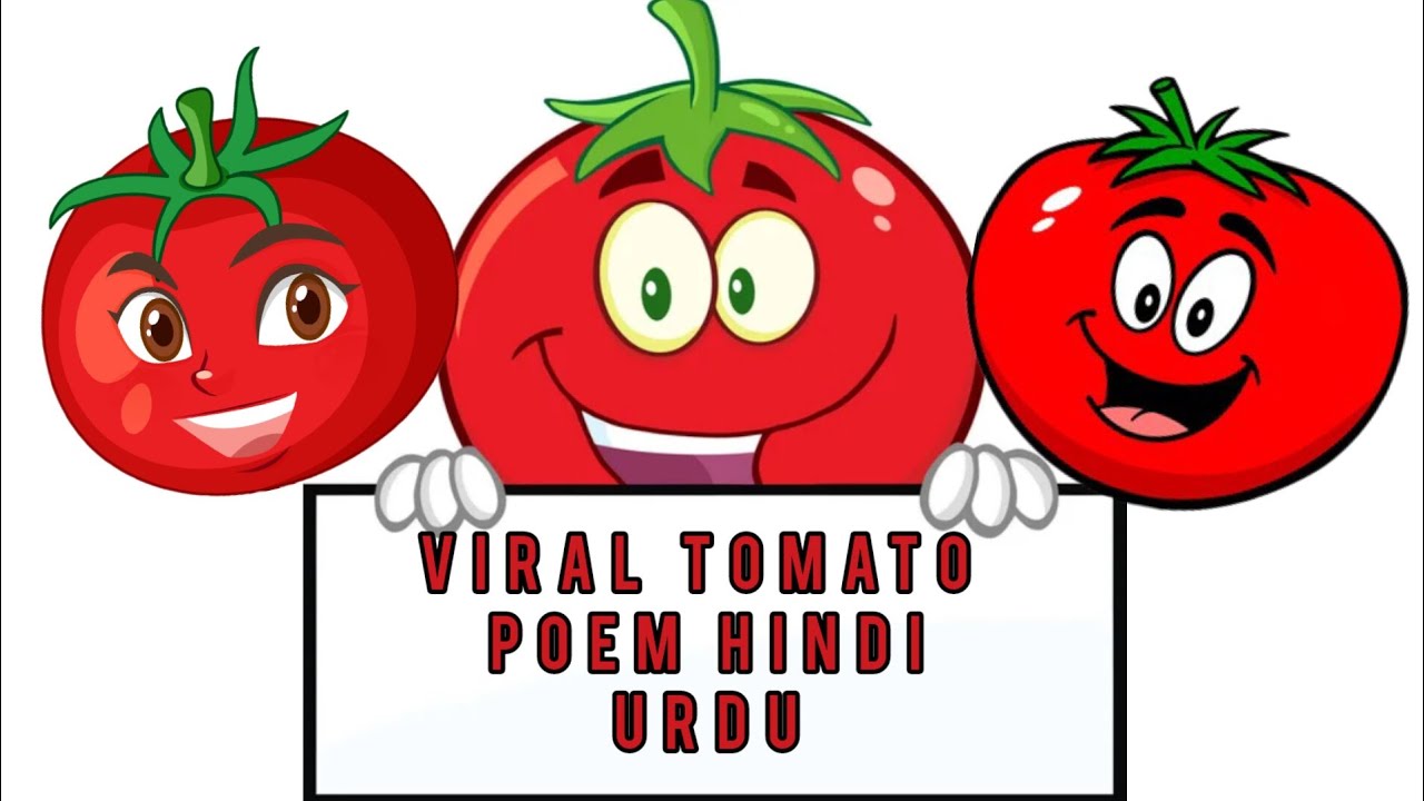 The Official Guide to Tomato poem Urdu hindi timater nazm foryou 
