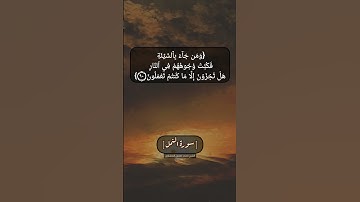 سورة النمل الآية ٨٩ و ٩٠ بصوت الشيخ محمد صديق المنشاوي