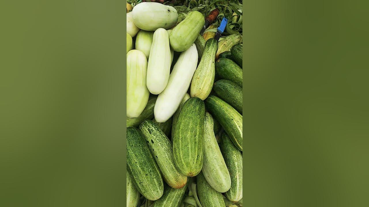 odia's cucumber masala road side food acha lagta hai YouTube