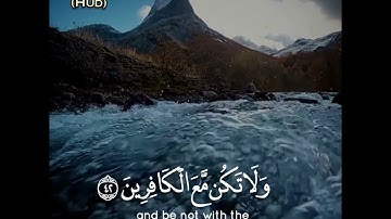 "وَهِيَ تَجْرِي بِهِمْ فِي مَوْجٍ كَالْجِبَالِ" تلاوة خاشعة آسرة من سورة هود - الشيخ رعد الكردي