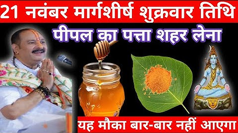 21 नवंबर मार्गशीर्ष शुक्रवार तिथि के दिन पीपल का पत्ता शहर वाला उपाय जरूर करें Pradeep Mishra ji || 