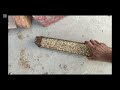 Best Deworming for birds \Assan Taika