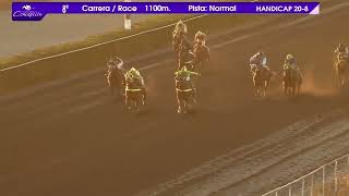 Vidéo de la course PMU PRIX MAGNA CUM LAUDE