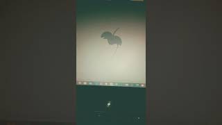 Jayz Empire State Of Mind ft Alicia Keys instrumental