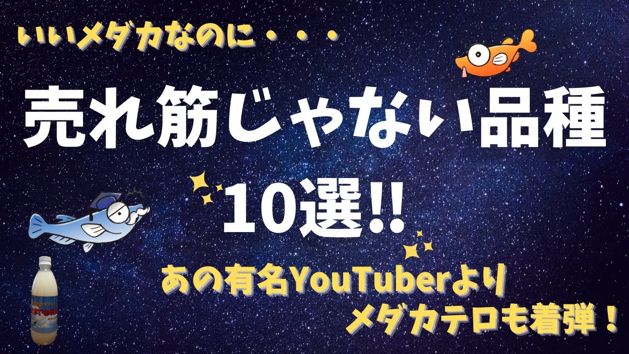 【たまにはこんな品種の紹介もいいよね】動画の後半にはあの人のメダカが着弾！