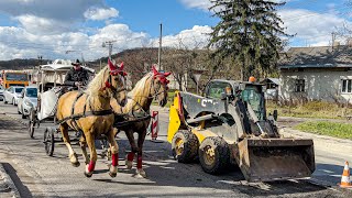 Bobcat scared the horses. Road Repair Process