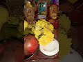 ಬುಧವಾರ ದಾ ಪೂಜೆ #music #song #hindi #festival #viralvideo #food