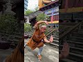 Bring your shoulders and hips together your hands and feet together and your elbows and kn
