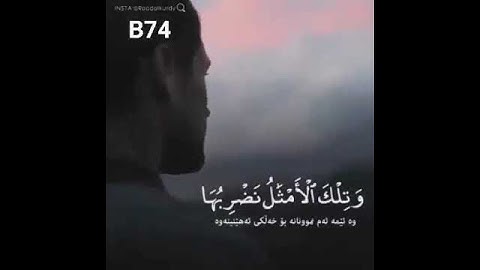 القارئ الشيخ رعد محمد الكردي ( ما تيسر من سورة الحشر )