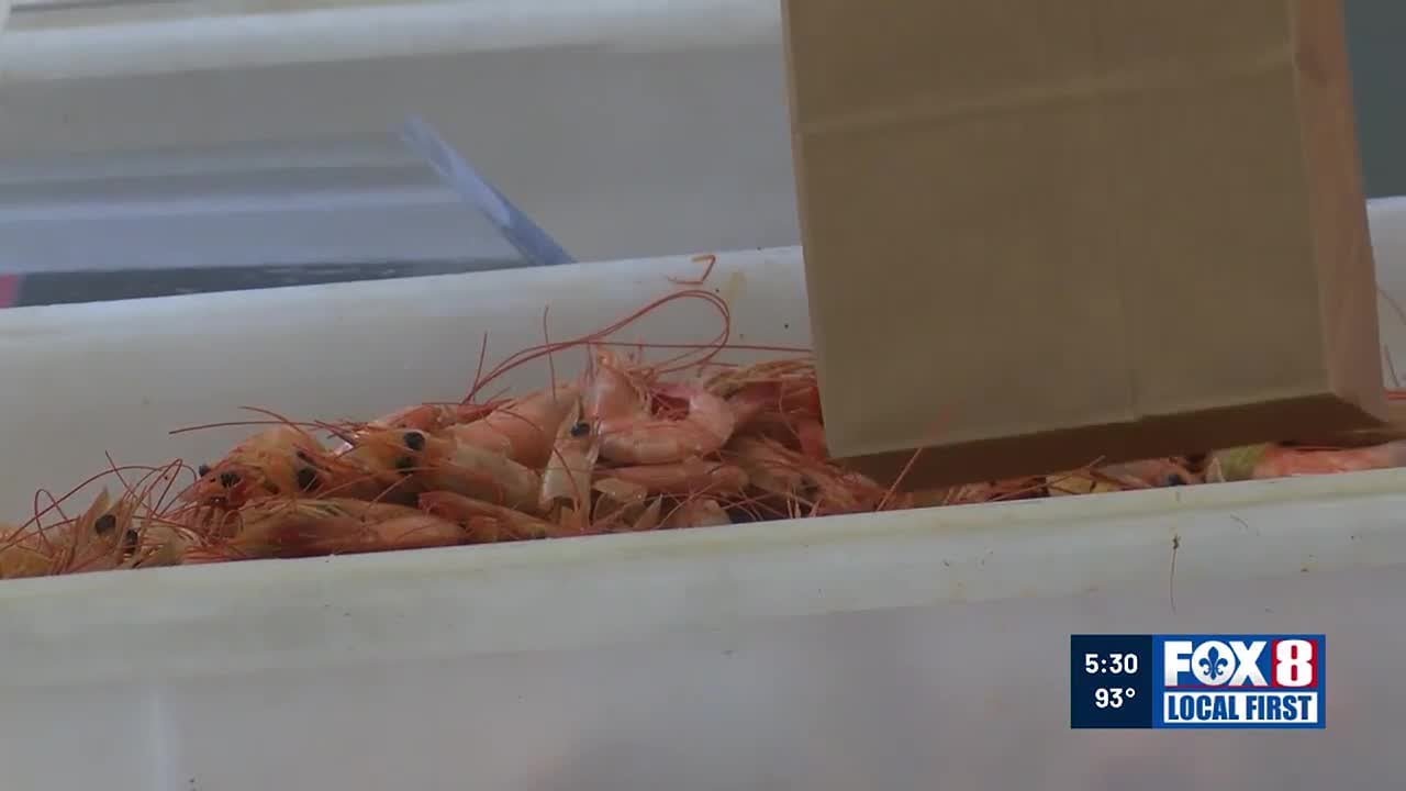 Louisiana lawmakers pass a law that tackles seafood mislabeling