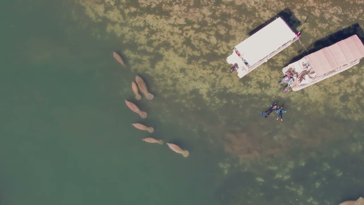 Today felt like stepping into another world