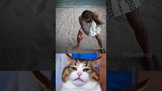 wtf 😂🤣 #shorts #aura #funny #cat #dance