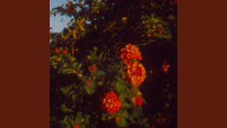 Interlaced
