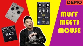 Dialing in the Ultimate Proco Rat and Big Muff Pi Tones | Crazy Tube Circuits Motherload