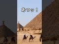 18人でエジプトに行って「わたしの一番かわいいところ」おどってみた