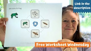 Free Worksheet Wednesday: Life Cycle of a Frog 🐸