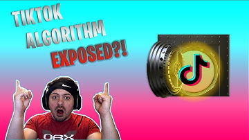 I Cracked the TikTok Algorithm....